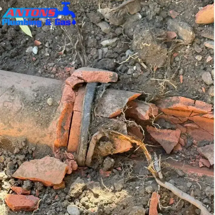 Exposed broken terracotta drainage pipe with roots around the damaged section